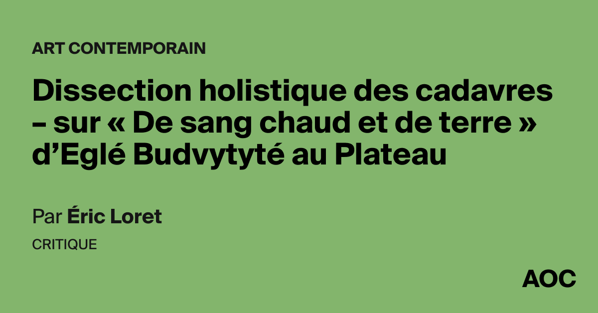 Holistic dissection of corpses – on “De sang chaud et de terre” by Eglé Budvytyté in Plateau