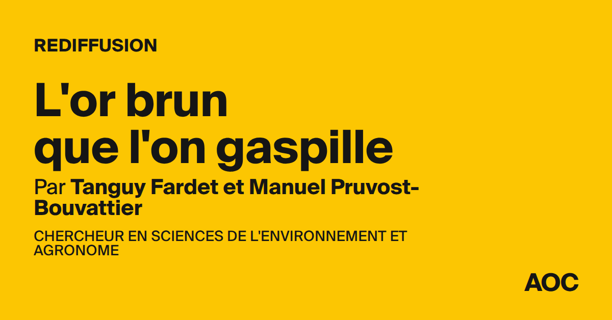 L'or brun que l'on gaspille