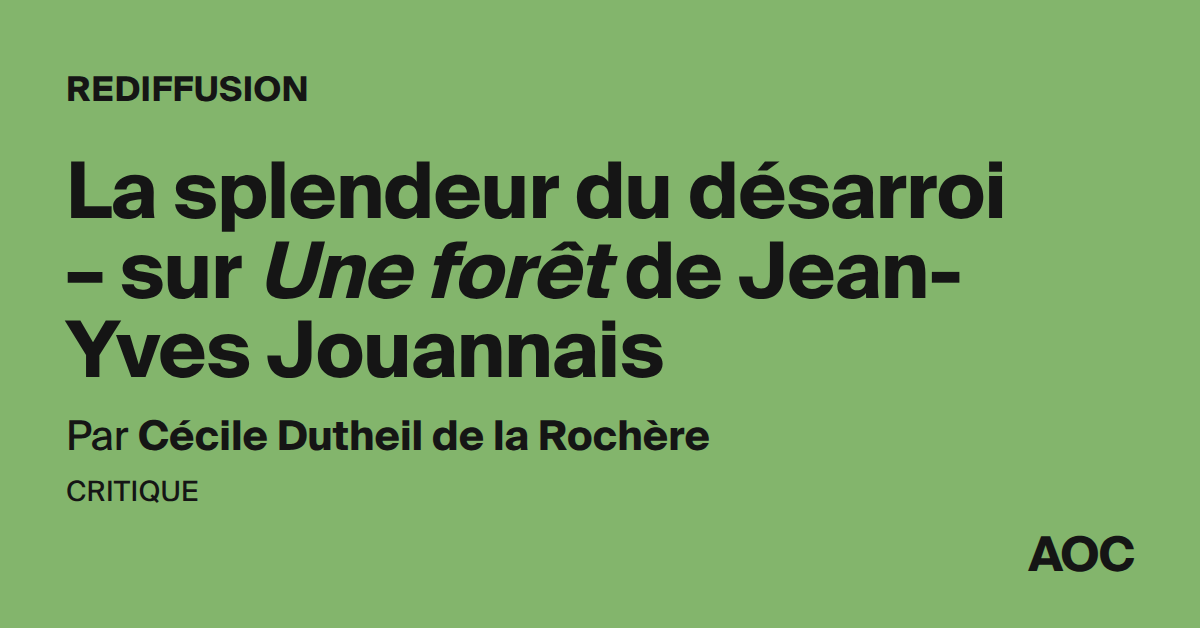 La splendeur du désarroi – sur Une forêt de Jean-Yves Jouannais